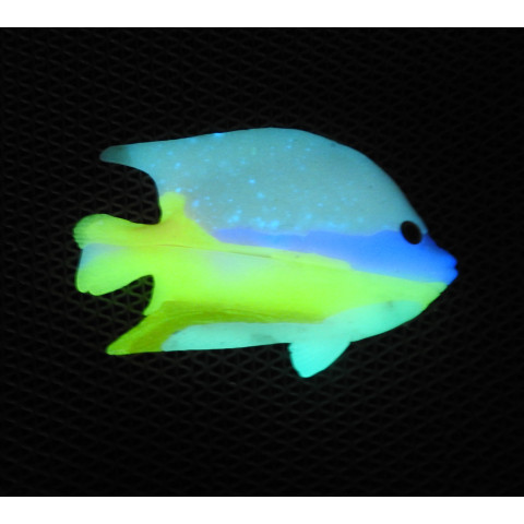 Peixe cor Azul Celeste,verde, Amarelo e Roxo fosforescente Glowe