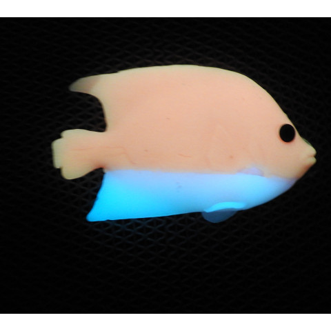 Peixe cor Rosa e Azul Celeste fosforescente Glowe